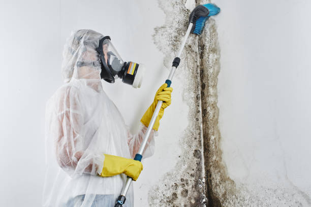 Best Crawl Space Mold Removal  in Newton, IA