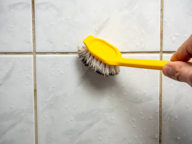 Best Best Mold Removal Companies  in Newton, IA