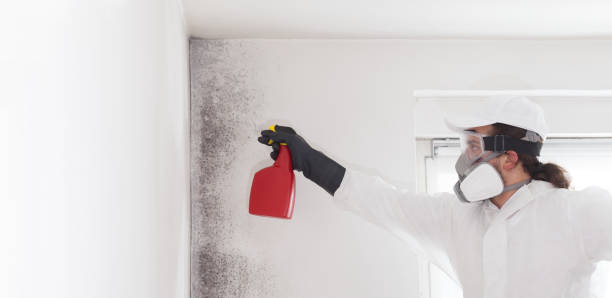 Newton, IA Mold Removal Company