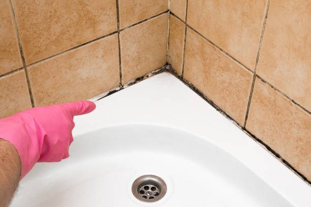 Best Mold Cleaning Services  in Newton, IA